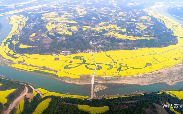 采购流程场景：从申请到验收入库