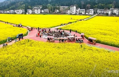 图片与图表快捷键：图文排版提速