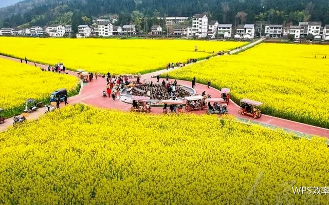 图片与图表快捷键：图文排版提速