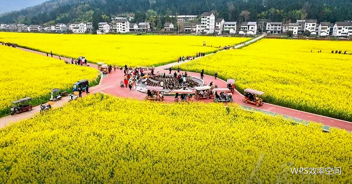 图片与图表快捷键：图文排版提速