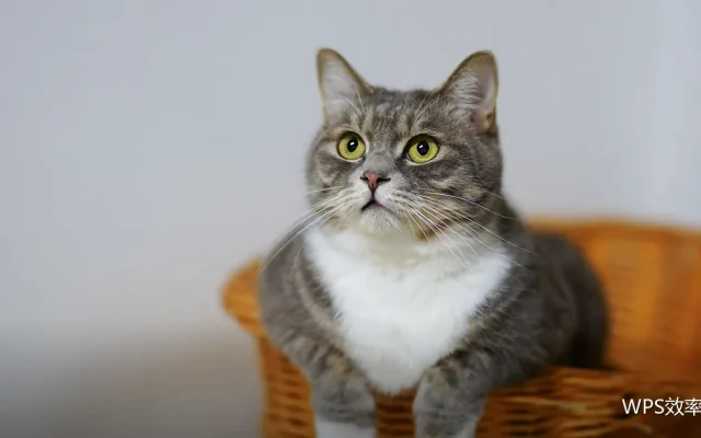 键盘增强：让双手少离开主键区